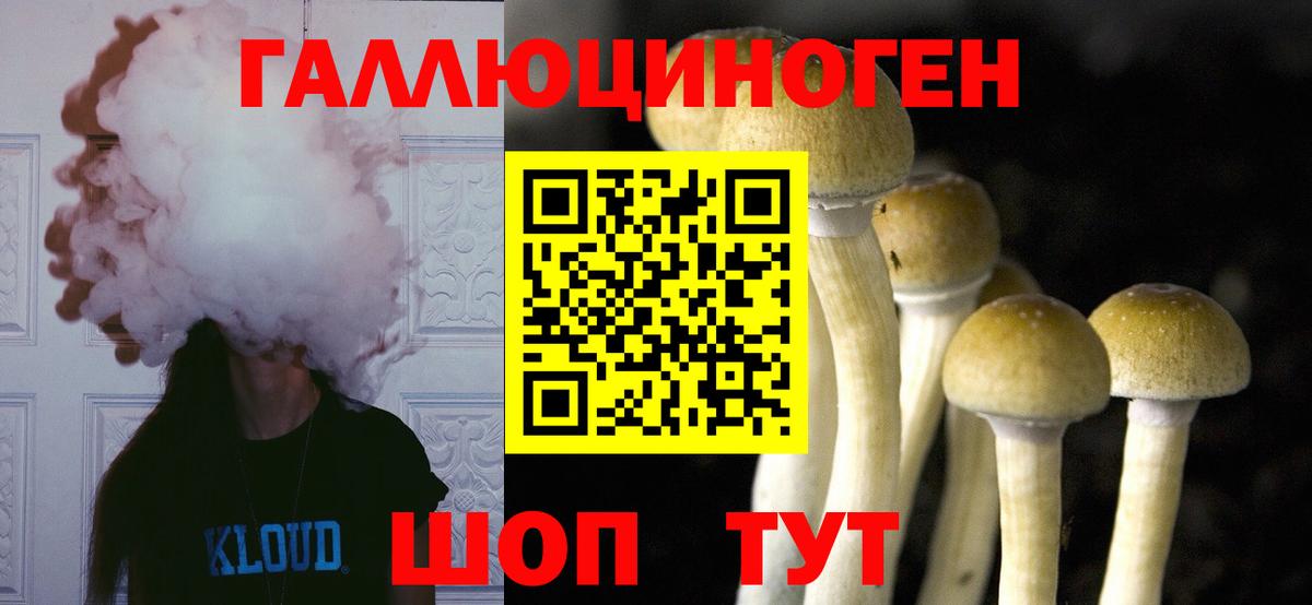 Каменка  Псилоцибиновые грибы ЛСД  Вход с VPN 